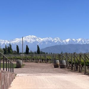Mendoza Experience