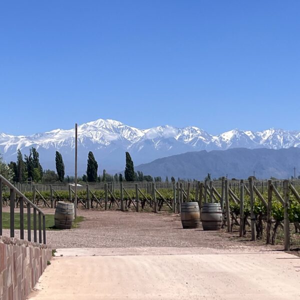 Mendoza Experience